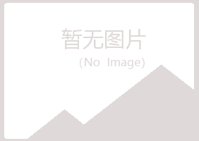 铁岭夏岚培训有限公司